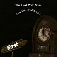 The Last Wild Sons's avatar cover