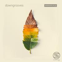 Downgrooves's avatar cover