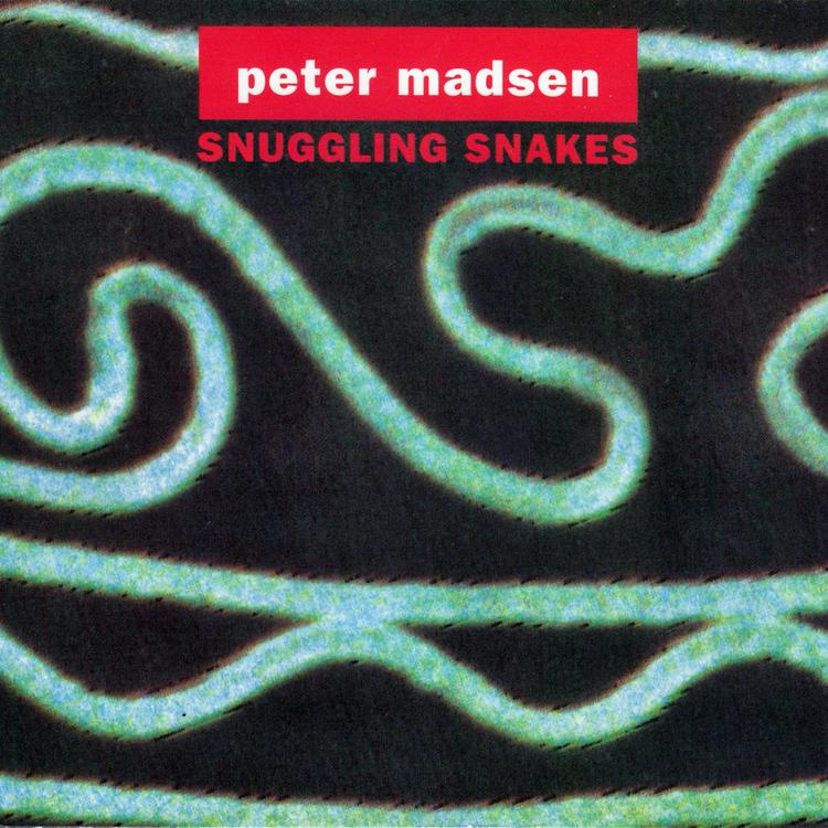 Peter Madsen's avatar image