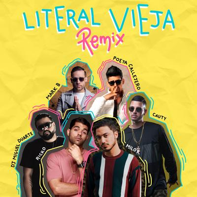 litEral viEja (Remix)'s cover