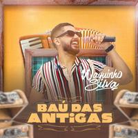 Waguinho Silva's avatar cover