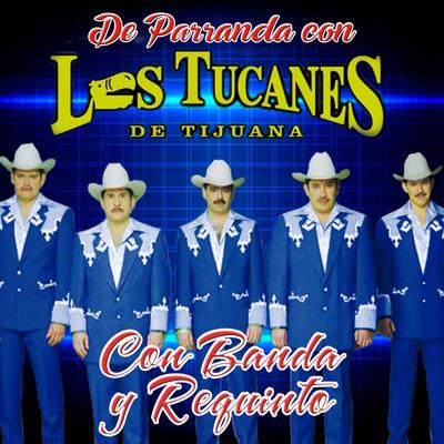 El Centenario (Banda y Requinto) By Los Tucanes De Tijuana's cover