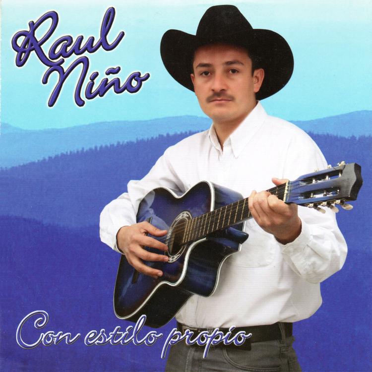 Raul Niño's avatar image