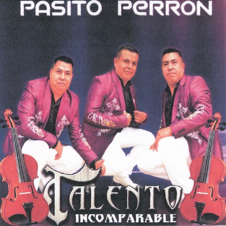 Pasito Perron's avatar image