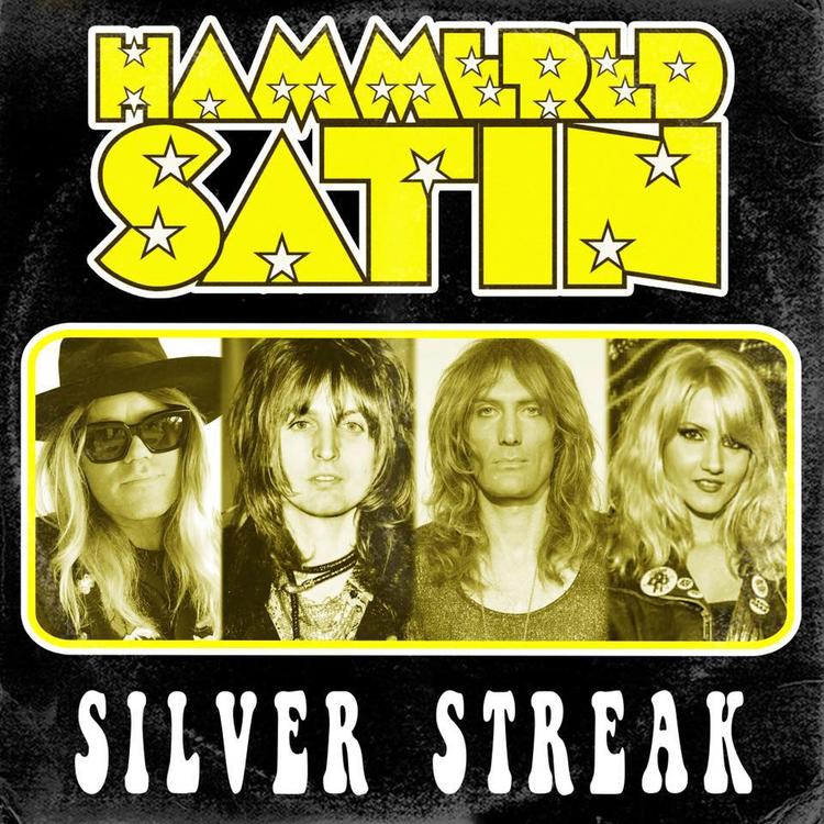 Hammered Satin's avatar image