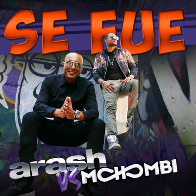 Se Fue (Lowgan Remix) By Arash, Mohombi's cover