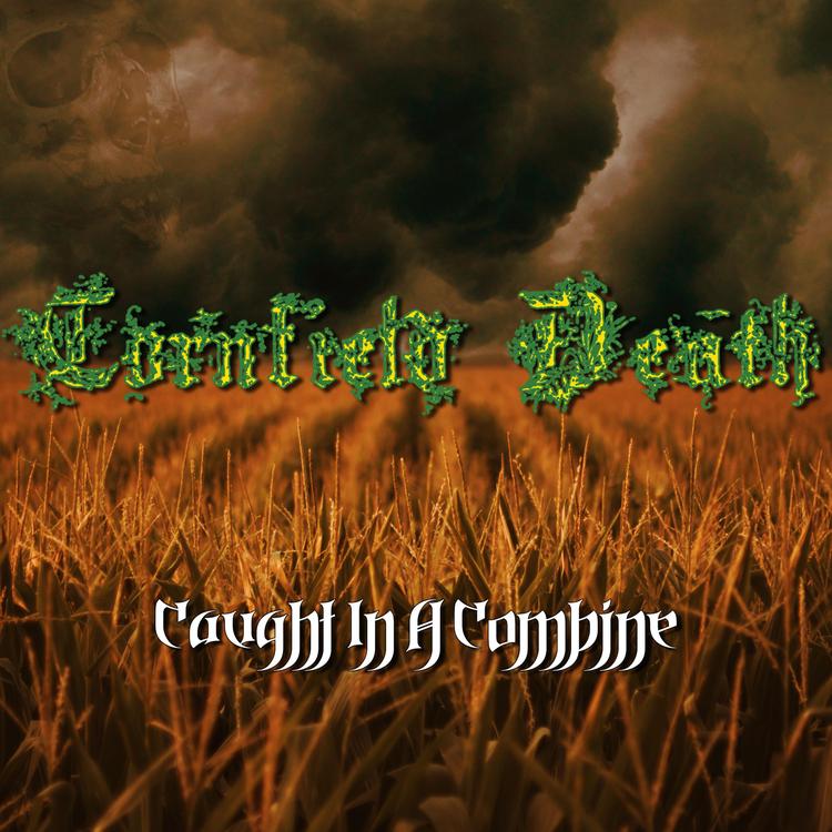 Cornfield Death's avatar image