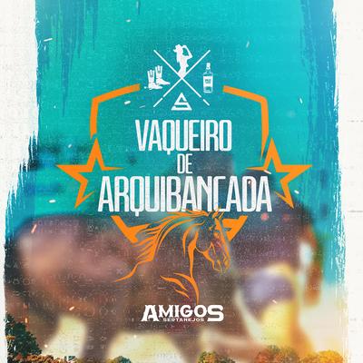 Vaqueiro de Arquibancada By Amigos Sertanejos's cover