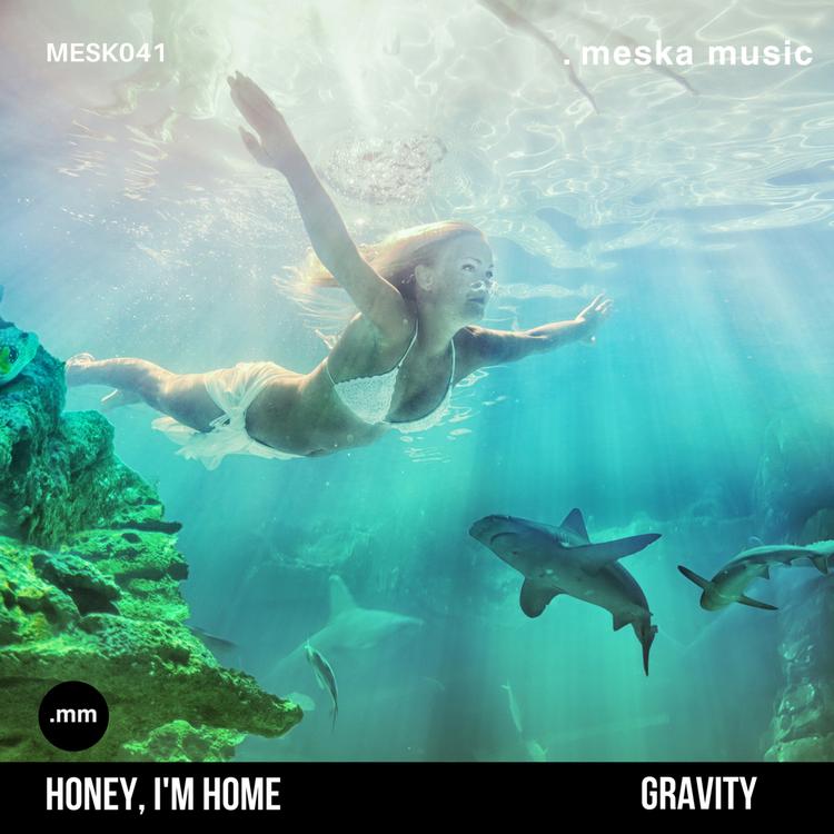 Honey Im Home's avatar image