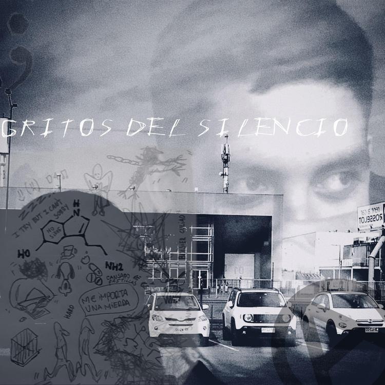 Gritos Del Silencio's avatar image