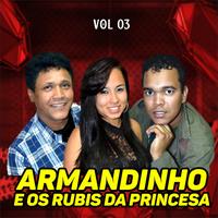 ARMANDINHO E OS RUBIS DA PRINCESA's avatar cover
