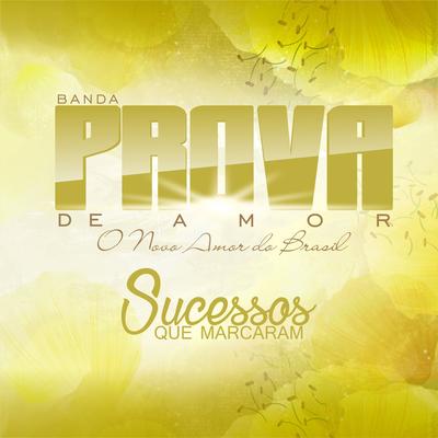 Já Não Mando Mais em Mim By Banda Prova de Amor's cover