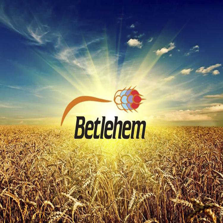 Betlehem's avatar image
