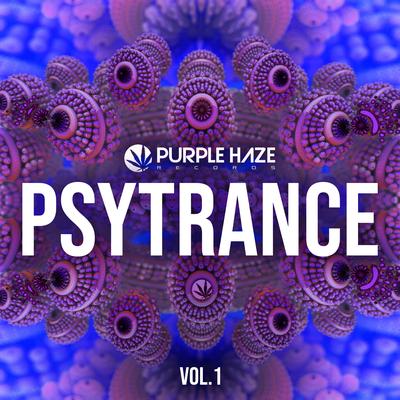 Purple Haze Psytrance, Vol. 1's cover