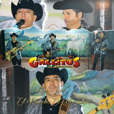 En Vivo Rancho el Herradero's cover