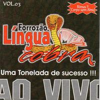 Forrozão Língua de Cobra's avatar cover