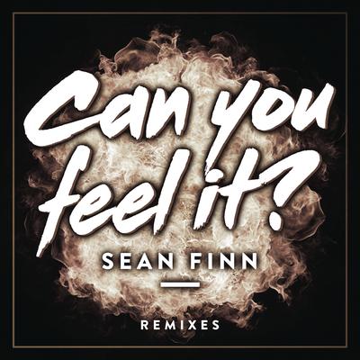 Can You Feel It (Klaas Remix) By Sean Finn's cover