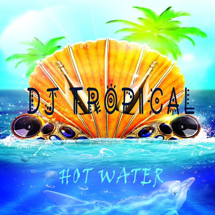DJ Tropical's avatar image