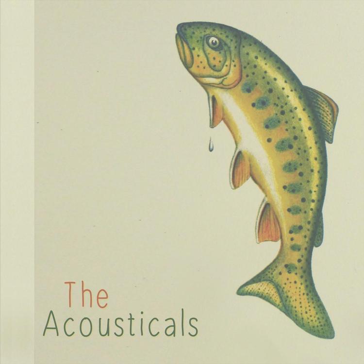 The Acousticals's avatar image