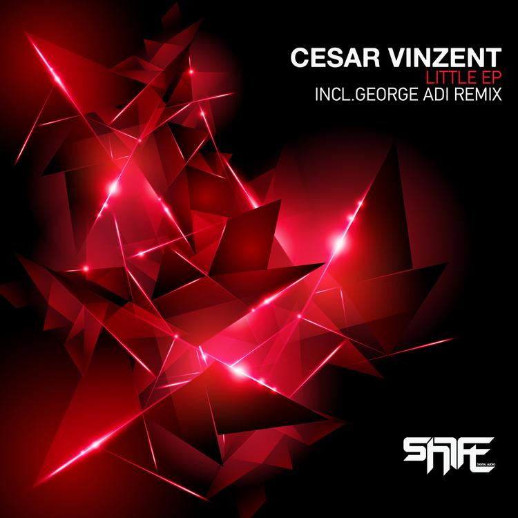 Cesar Vinzent's avatar image