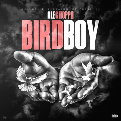 BIRDBOY By NLE Choppa's cover