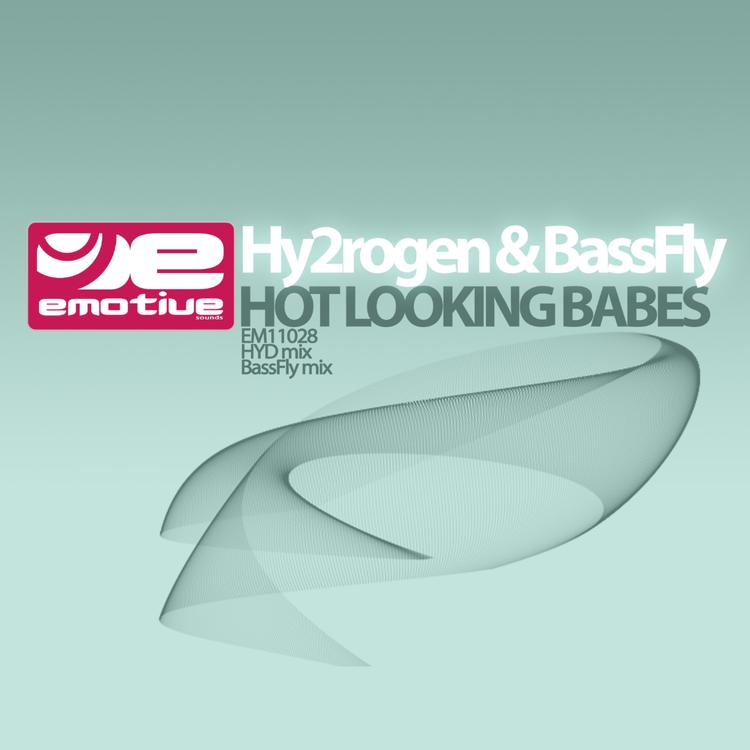 Hy2rogen & Bass Fly's avatar image