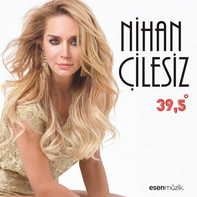 Nihan Çilesiz's avatar image