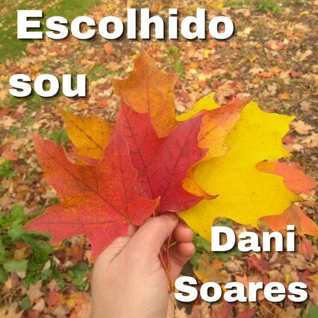 DANI SOARES's avatar image