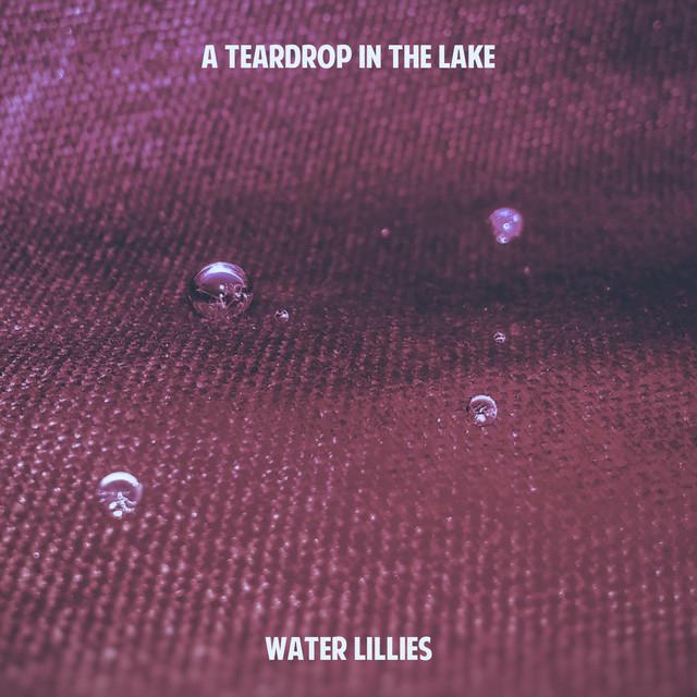 A Teardrop In The Lake's avatar image