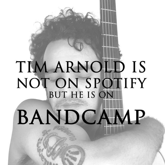 Tim Arnold's avatar image