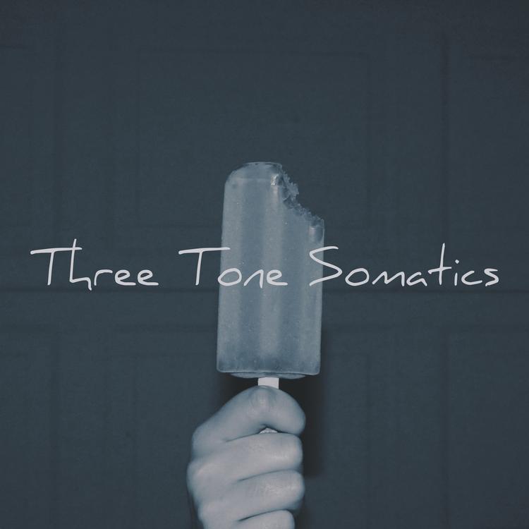 Three Tone Somatics's avatar image