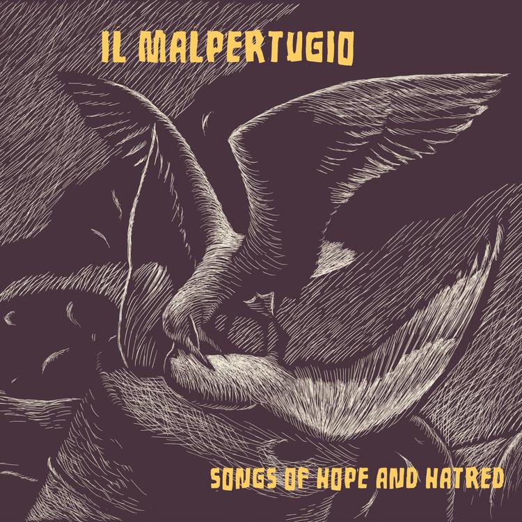 IL Malpertugio's avatar image