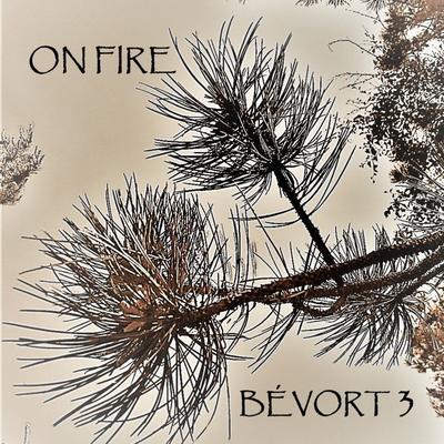 Bévort 3's cover