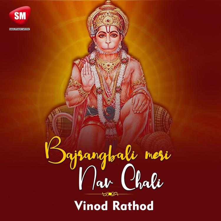 Vinod Rathord's avatar image