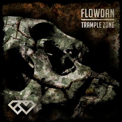 Tramplezone's cover