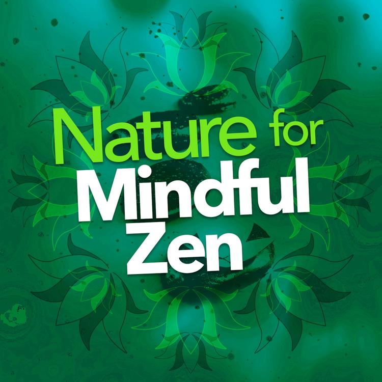 Sounds of Nature White Noise for Mindfulness, Meditation and Relaxation's avatar image