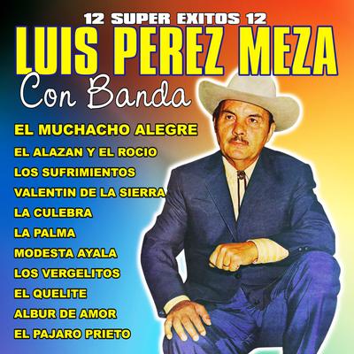 12 Super Exitos Con Banda's cover