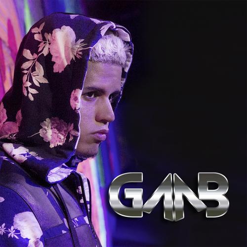 Gaab 's cover