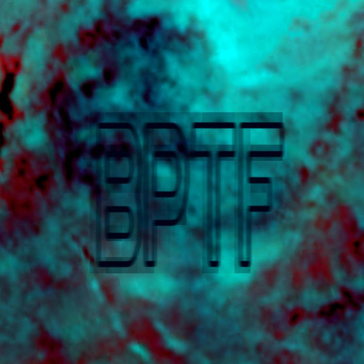 Bptf's avatar image