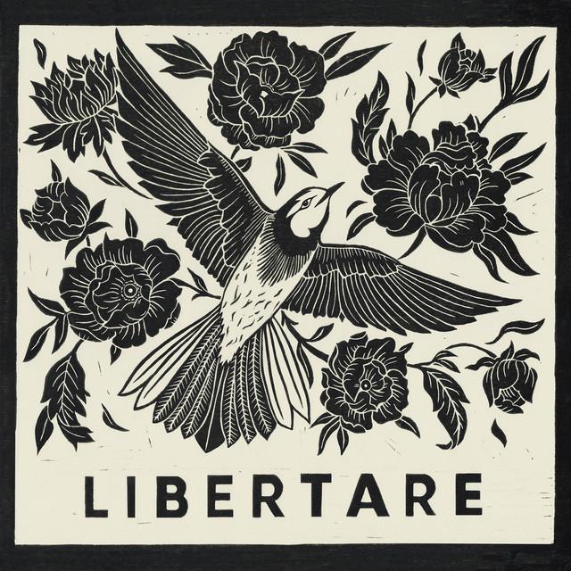 Libertare's avatar image