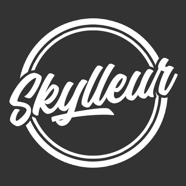 Skylleur's avatar image