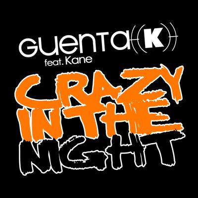 Crazy In The Night (Sean Finn Remix)'s cover