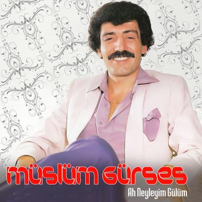 Ah Neyleyim Gülüm's cover