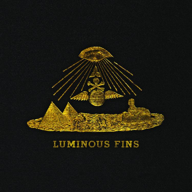 Luminous Fins's avatar image
