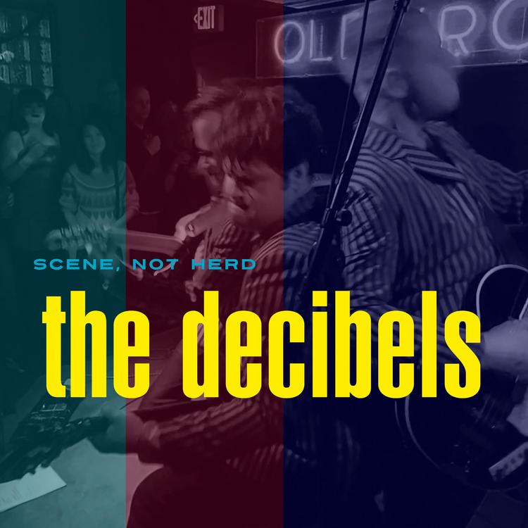 The Decibels's avatar image