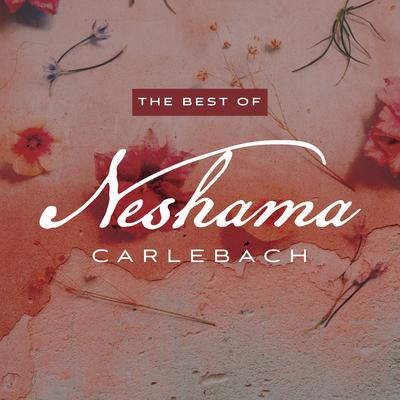 Neshama Carlebach's cover