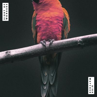 Bird Watcher's cover
