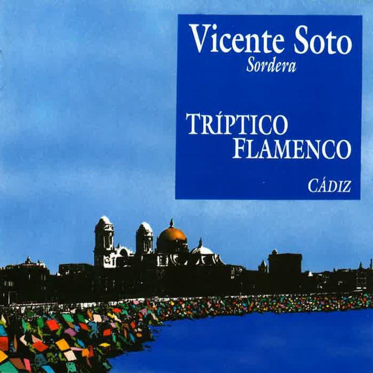 Vicente Soto Sordera's avatar image