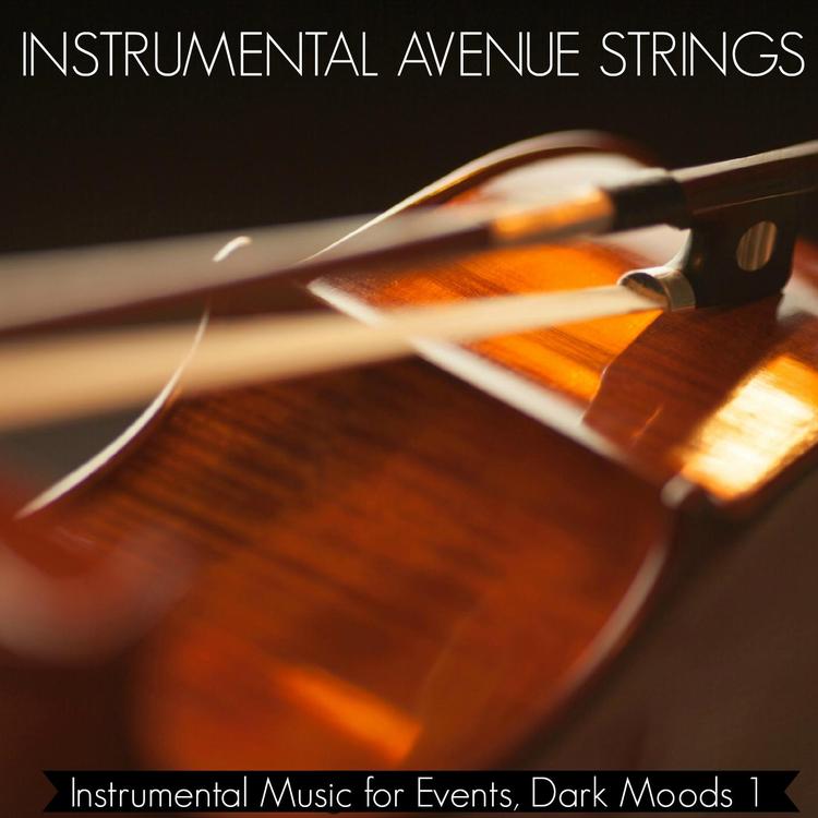 Instrumental Avenue Strings's avatar image