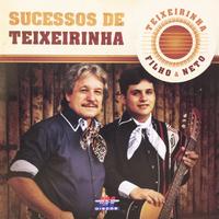 Teixeirinha Filho's avatar cover